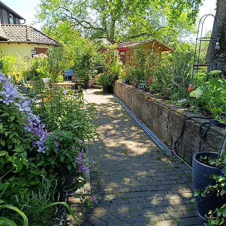Landgasthof Zum Rappen Inn