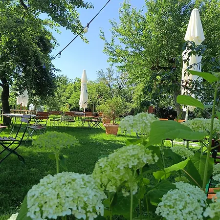 Inn Landgasthof Zum Rappen